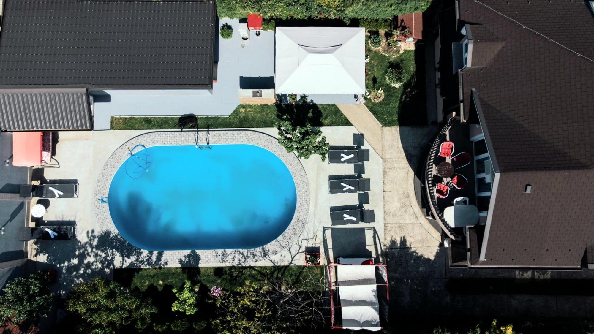 Lux Apartments With Pool Dex Zemun Polje Eksteriør billede